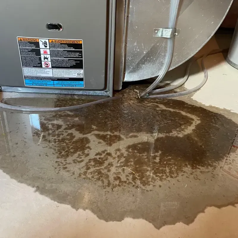 Appliance Leak Cleanup in Pineville, NC